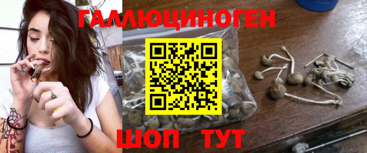 Галлюциногенные грибы ЛСД Сергиев Посад