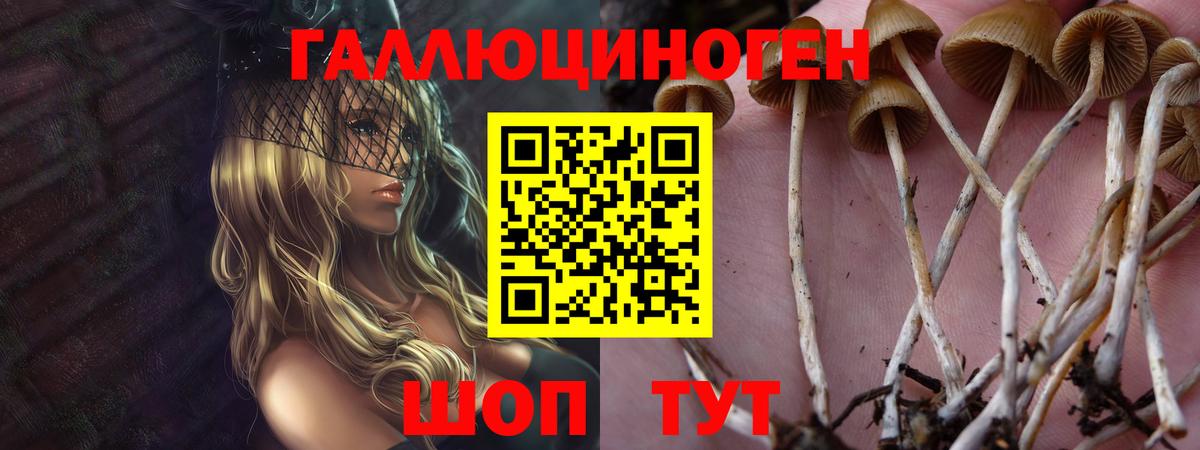 Сергиев Посад  Галлюциногенные грибы ЛСД  Вход с VPN  Псилоцибиновые грибы Psilocybine cubensis 